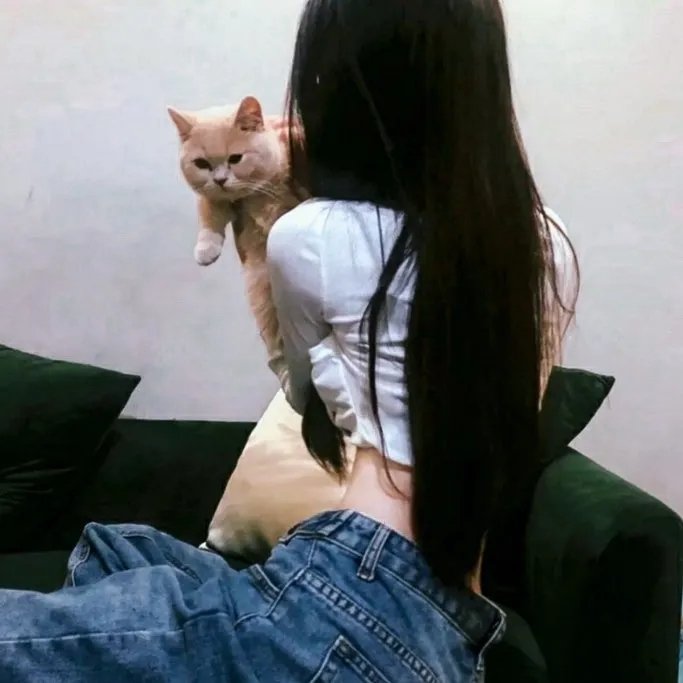 病毒航班